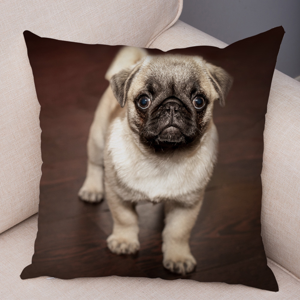 Housse de coussin carlin mignonne, oreiller décoratif imprimé pour animaux de compagnie, pour voiture, canapé, maison, en Polyester