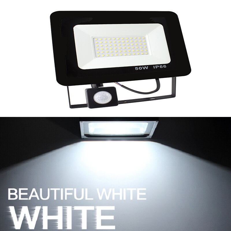 10W 20W 30W 50W 100w 150w 200w garden search Wall lamp led flood light outdoor projector Landscape PIR Motion sensor light AC220: cold white / 10W AC220V