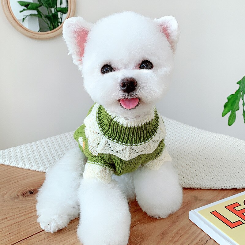 Pull à fleurs de marguerite pour chien, manteau d&#39;hiver en tricot, vêtement pour chat, yorkshire, Schnauzer, bouledogue français