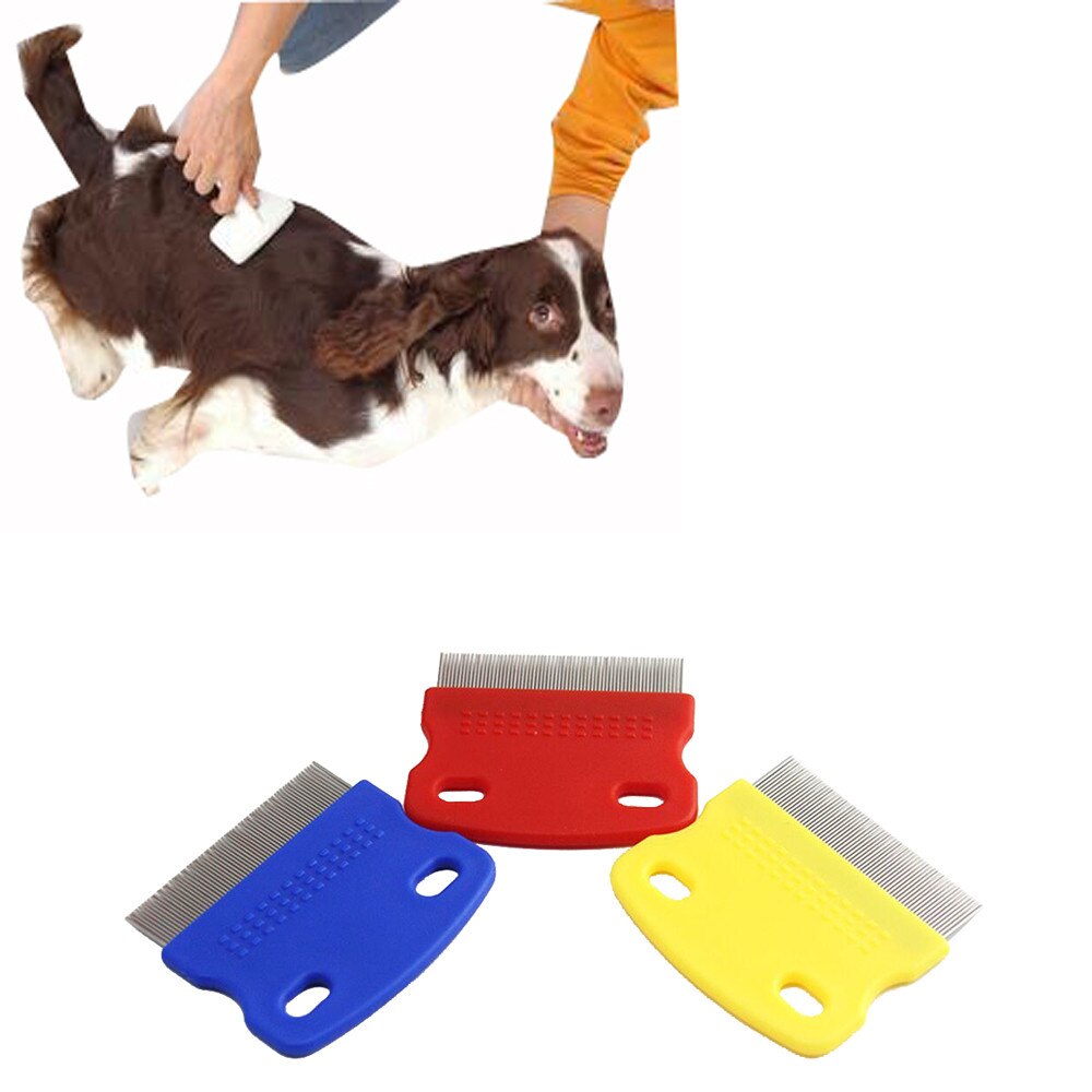 Herramientas de aseo para mascotas, peine para perros, pinceles para mascotas, pincel de acero inoxidable, peines, productos para mascotas, Aug31, Aug31