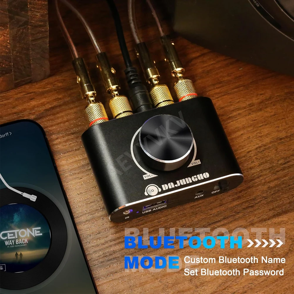 Mini wzmacniacz audio Stereo HIFI Cyfrowy kanał wzmacniacza 2.0 z wejściem AUX/USB/Bluetooth Bezprzewodowy odbiornik audio z pilotem