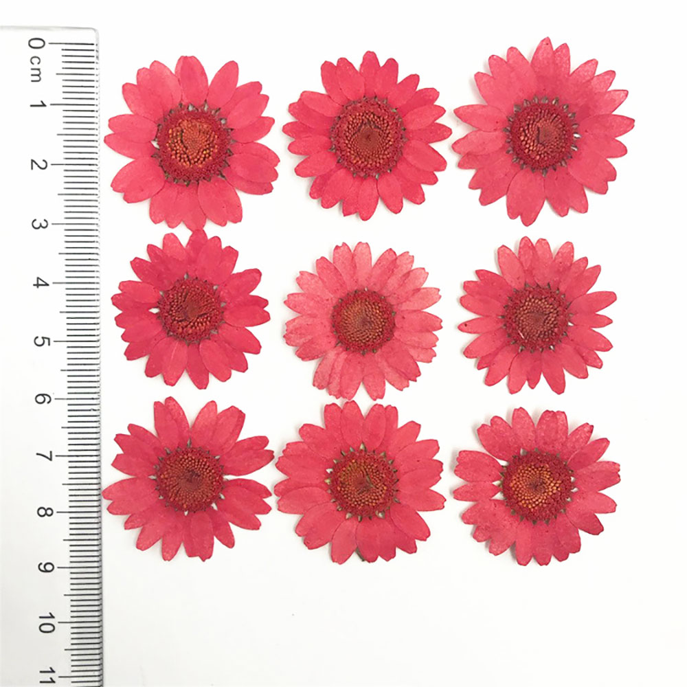 Silicone world Dried Flower Dry Plants For Epoxy Resin Pendant Necklace Jewelry Making Craft DIY Accessories UV Expoxy Flower: green