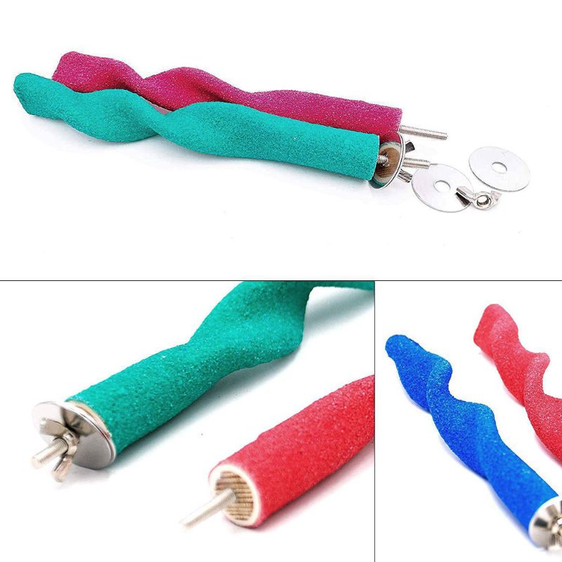 Animal de compagnie en bois oiseau perche Stands oiseau morsure ongles bec meulage bâton perroquet Cage griffe pied meulage formation mâcher jouets