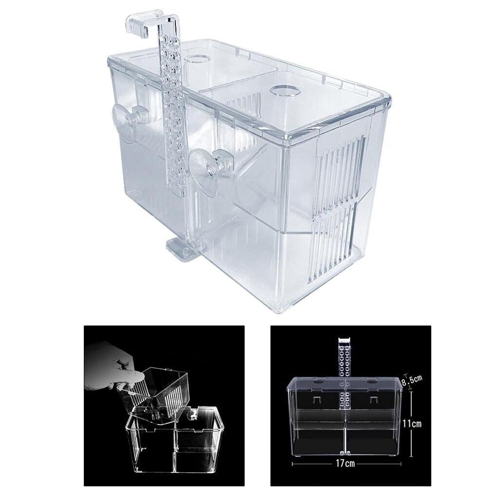 Large Fishes Tank Isolation Box Guppy Breeding Box Small Fishes Fry Isolation Net Acrylic Aquarium 30x20x20cm