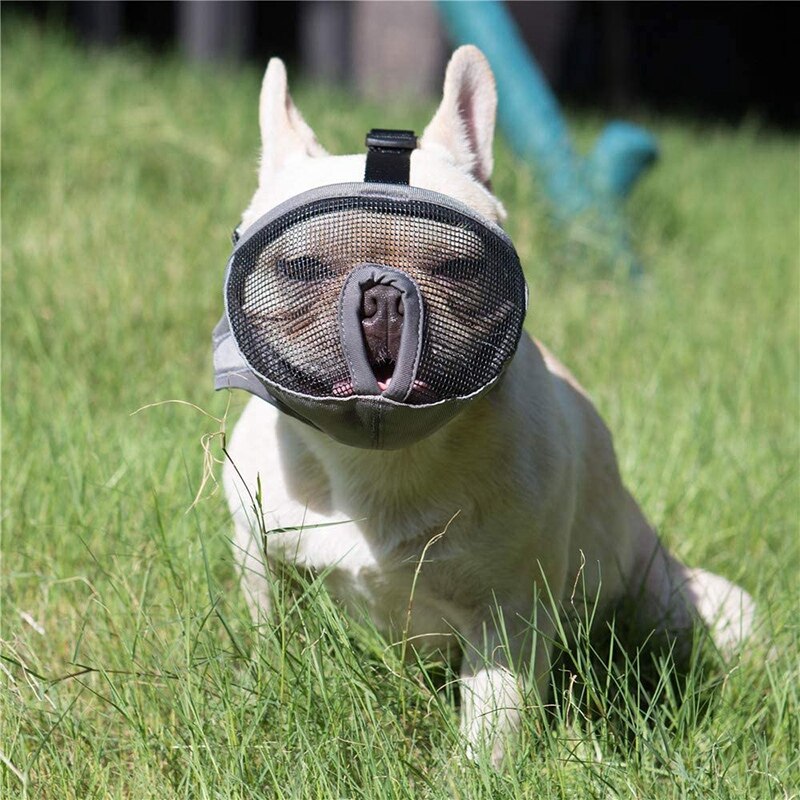 Short Snout Dog Muzzles Adjustable Breathable Mesh Bulldog Muzzle for Biting Chewing Barking Training Dog Mask
