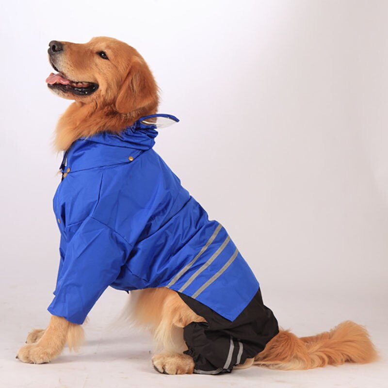Sommer vandtæt fransk bulldog regnfrakke gylden hund hundetøj til store hunde nylon hvalp regnfrakke chihuahua kæledyrstøj
