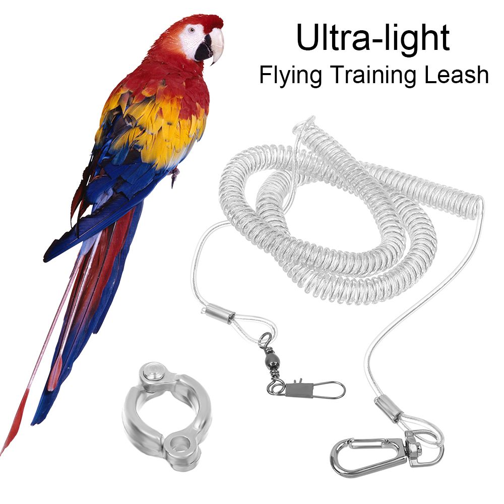 Anti-bite Leg Ring Harness Parrot Bird Flying Training Leash Ultra-light Flexible Rope Outdoor Macaw Cockatiel Starling