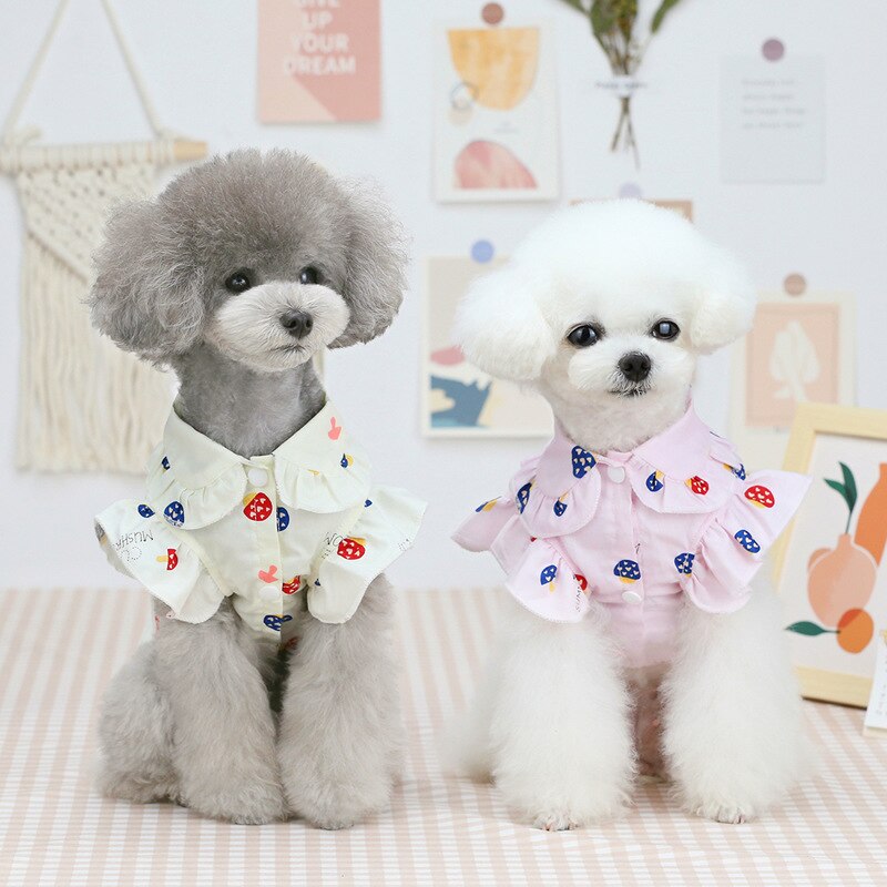 Cão de pelúcia camisas estilo doce camisas do cão algodão pet filhote de cachorro camiseta roupas para cães médios pequenos gato