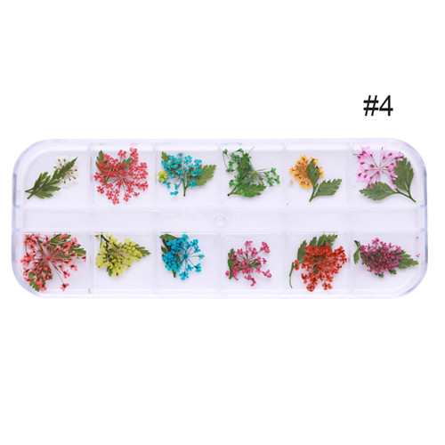 1 doos Kleurrijke Natuurlijke Droge Bloemen Bloemen Gemengde Patronen 3D Nail Art DIY Decoraties Gereedschap Voor UV Gel Polish