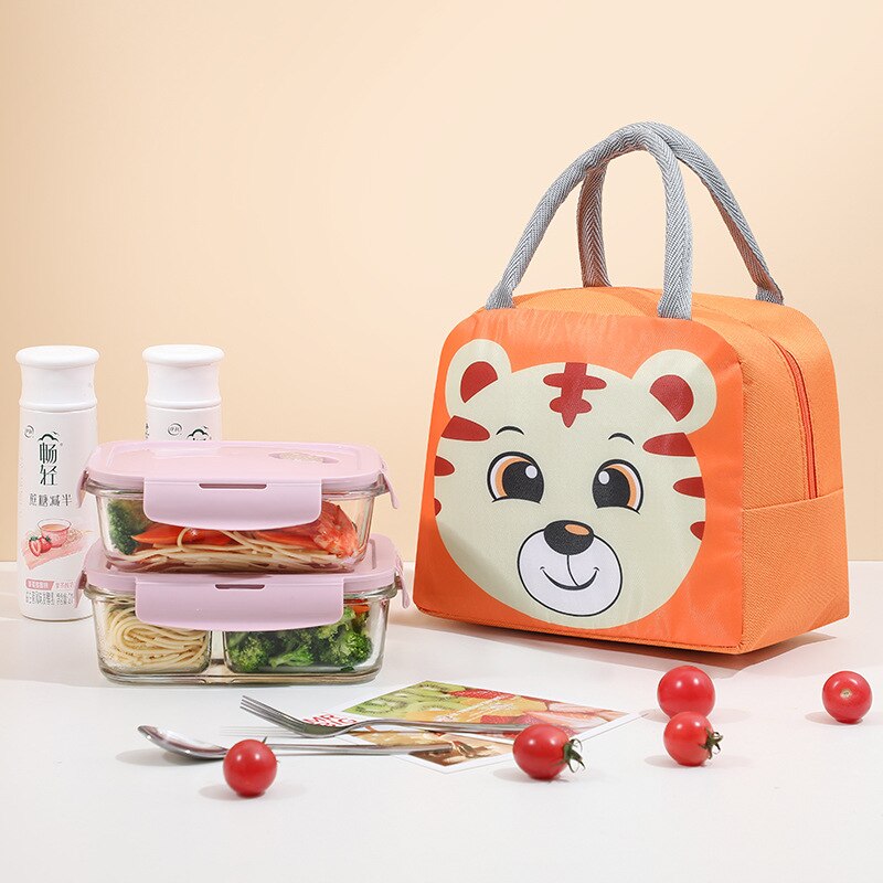 Portable Insulated Thermal Lunch Box Picnic Supplies Bags Cartoon Lunch Bag Box Lunch Bags for Women Girl Kids Children