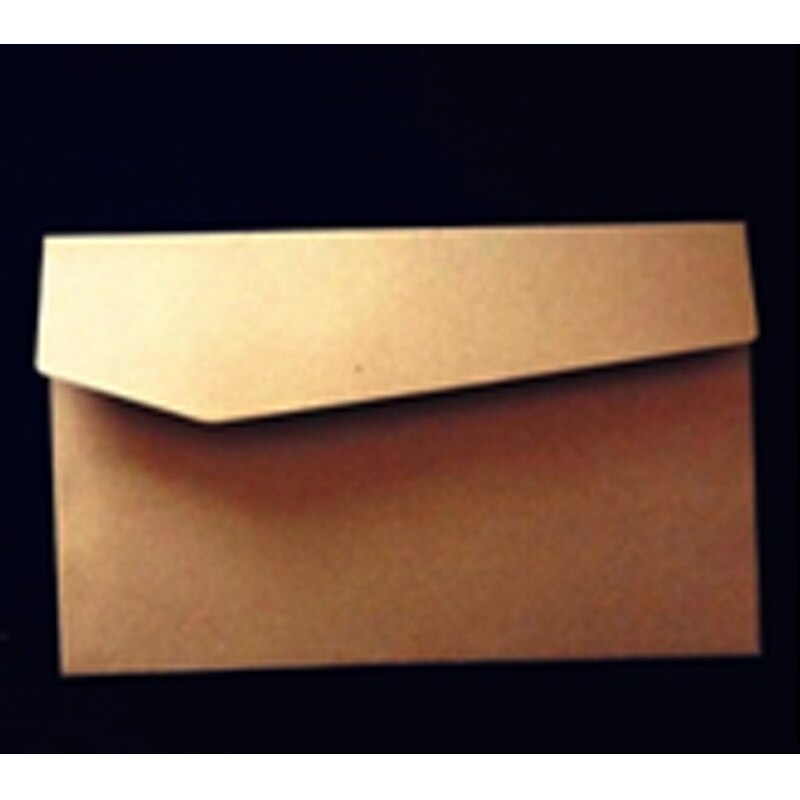 20Pcs Vintage Various sealing designs Nature series Kraft Paper Envelopes stationery