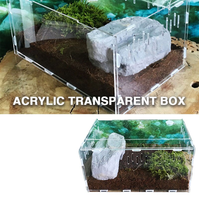 Krybdyr terrarium krybdyr kasse insekt koldblodede dyr holdbart akryl gennemsigtig boligindretning