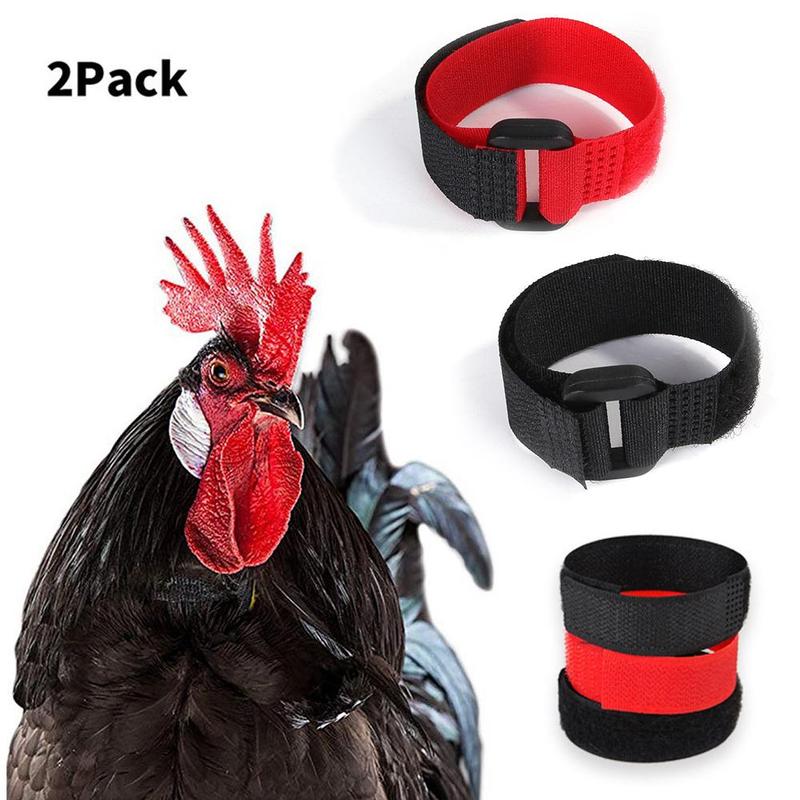 Collar de gallo sin cuervos, Collar de pollo, sin ruido, banda para el cuello antigancho, suministros de herramientas para mascotas, 2 uds.
