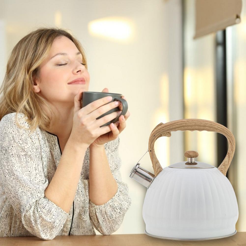 3.5L Stainless Steel Whistling Kettle Induction Cooker Gas Stove Kettle Bouilloire Camping Home Metal Kettle Cooking Pot