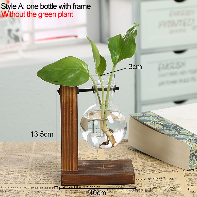 Jarrones de plantas hidropónicas para terrario, maceta Vintage, florero transparente, marco de madera, plantas de mesa de vidrio, bonsái, decoraciones para el hogar: BLANCO