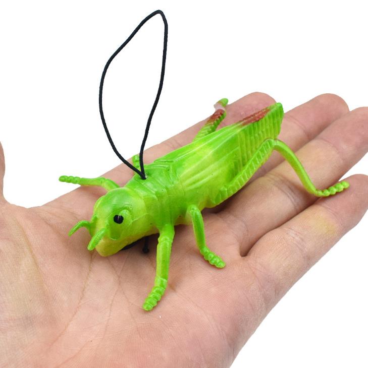 5/10pz/impostato TPR morbido gomma simulazione cavalletta insetto giocattolo modello giocattolo scherzo allarmante scherzo totale persona giocattolo regalo