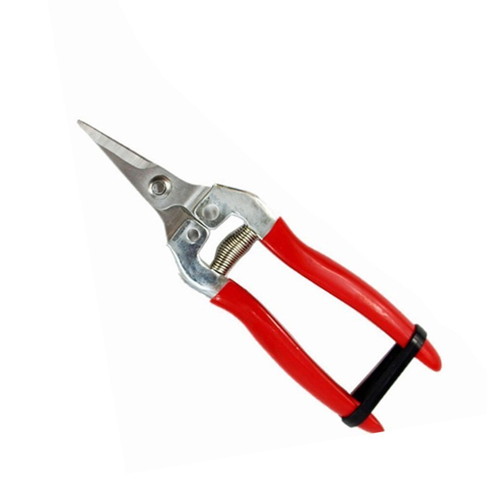 Stainless Steel Tree Pruning Garden Shears Grass Fruit Cutter Gardening Scissors Branch Pruners BOM666: S