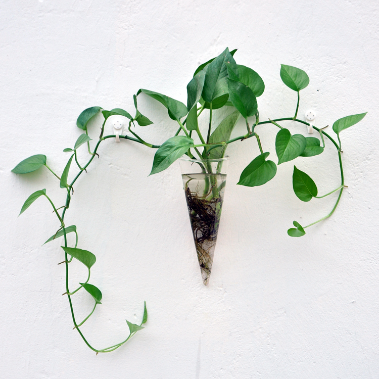 1Piece Hanging Glass DIY Bottle Pot Flower Plant Vase High Borosilicate Container Cone Shape