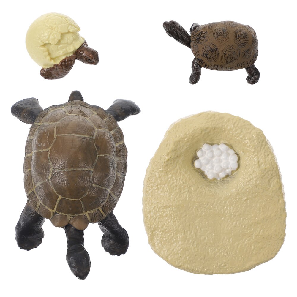 1 Set Tortoise Growth Cycle Models Simulated Tortoise Adornments Cognitive Toys