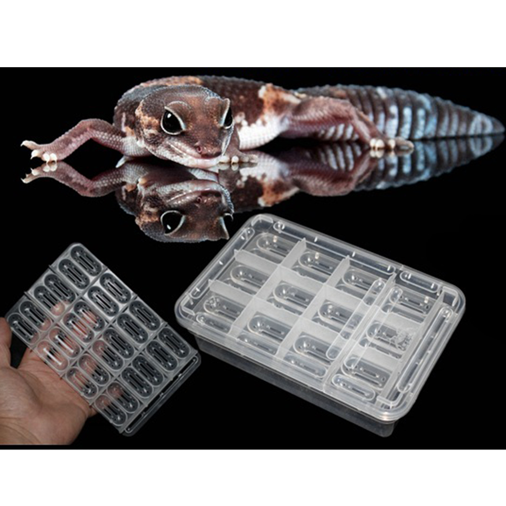 Reptile Incubator Egg Incubator Hatching Tray, Holds up To 24 Eggs, Portable Reptile Incubator for Small Reptiles