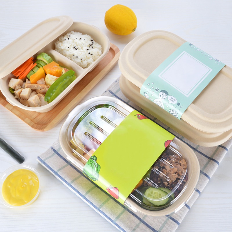 10 PCS Bento Box Eco-Friendly Lunch Box Food Container Disposable Pulp Microwavable Dinnerware Home Healthy Material Lunch Box