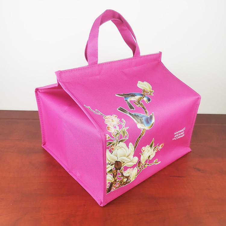 Geïsoleerde Picknick Koeltassen Cake Pizza Lunch Picknick Box Geïsoleerde Cool Handtassen Ice Pack Thermo Draagbare