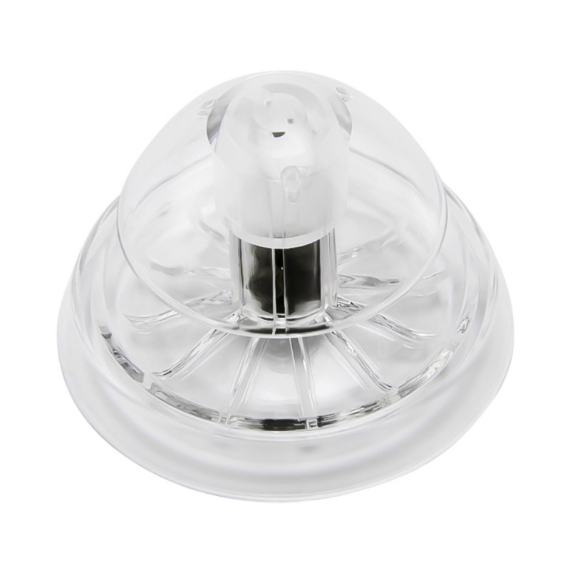 escargot piège escargot réservoir escargot receveur plantes planaire attraper sangsue environnement en plastique transparent Aquarium Aquarium Aquarium fournitures pour animaux de compagnie