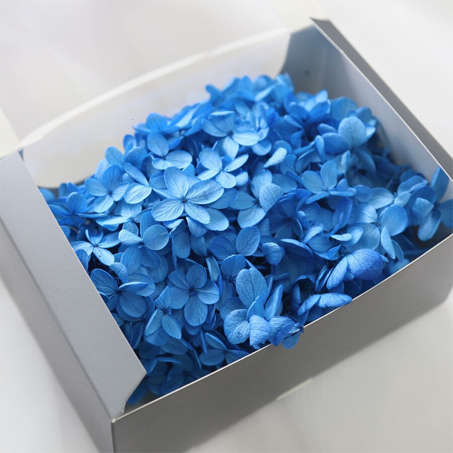 20g naturlige frisk hortensia tørket blomsterhode gjør-det-selv ekte evigblomstmateriale langtidskonservering falmer ikke: 4