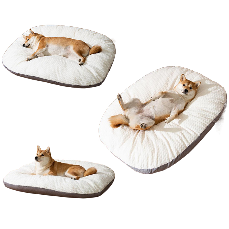 Huisdier Bedmat - Ademend Koraal Fleece - Wasbaar Kussen voor Middelgrote Grote Honden Katten