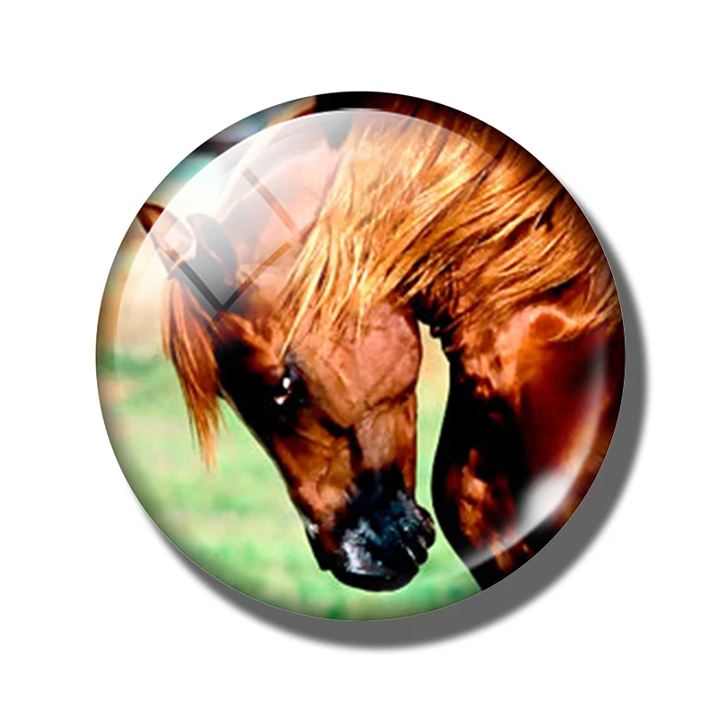 Pferd 30 MM Kühlschrank Magnet Glas Kuppel Cabochon Magnetischen Kühlschrank Aufkleber Hinweis Halfter Nette Tiere Wohnkultur: Pflaume