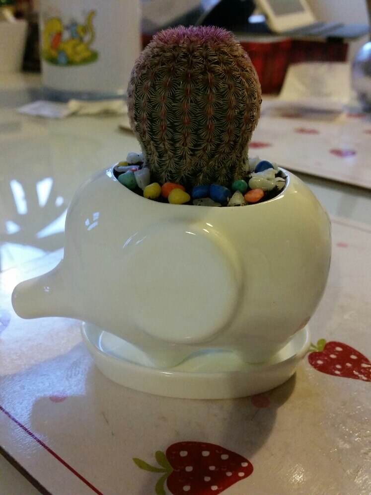 Maceta de cerámica Kawaii Pequeño animal, de porcelana blanca suculenta maceta de plantas y flores, decoración para el hogar, florero de jardín, miniadornos de escritorio