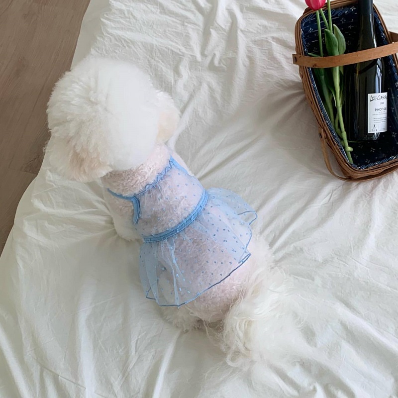 Vestiti rinfrescanti per cani Bretelle per animali domestici Vestito per cani Pizzo traspirante Sottile Gonna per cuccioli chihuahua Bichon Barboncino costume per cani per ragazze 2025 Nuovo