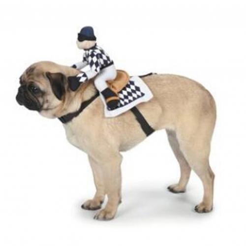Abrigo para mascotas, ropa de Navidad para perro, gato, capa para cachorro, muñeca de dibujos animados para perros, disfraz para montar a caballo, suministros para mascotas: Negro / M