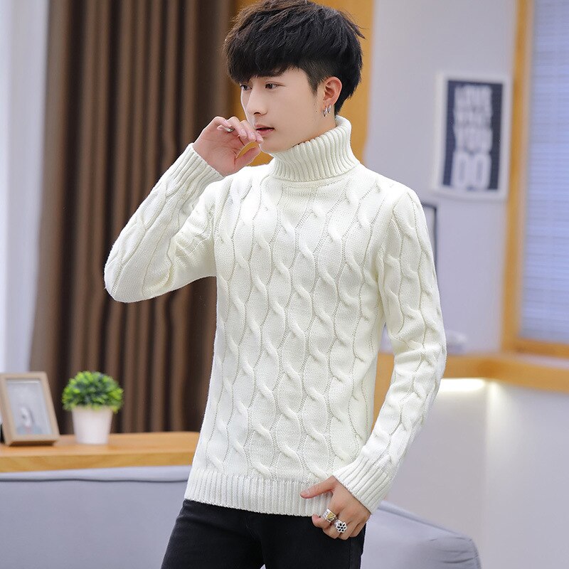 Mens Turtleneck Sweaters and Pullovers Winter Casual Solid Knitted Turtleneck Wool Sweater Men Pullover Homme