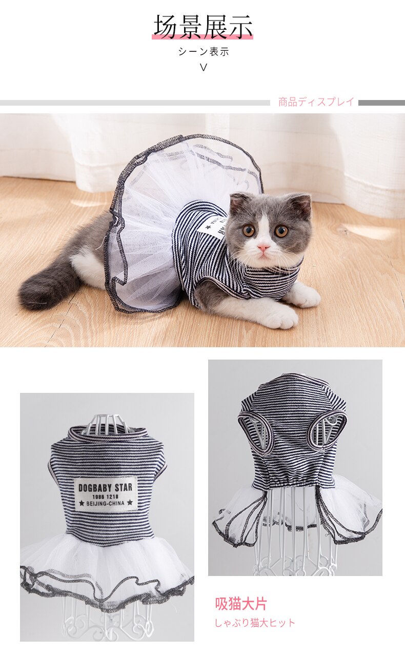 Mignon coupe-vent Costume chat robes tenue Animal vêtements Costume pour temps froid Vestidos Para Gato chat vêtements OO50QZ