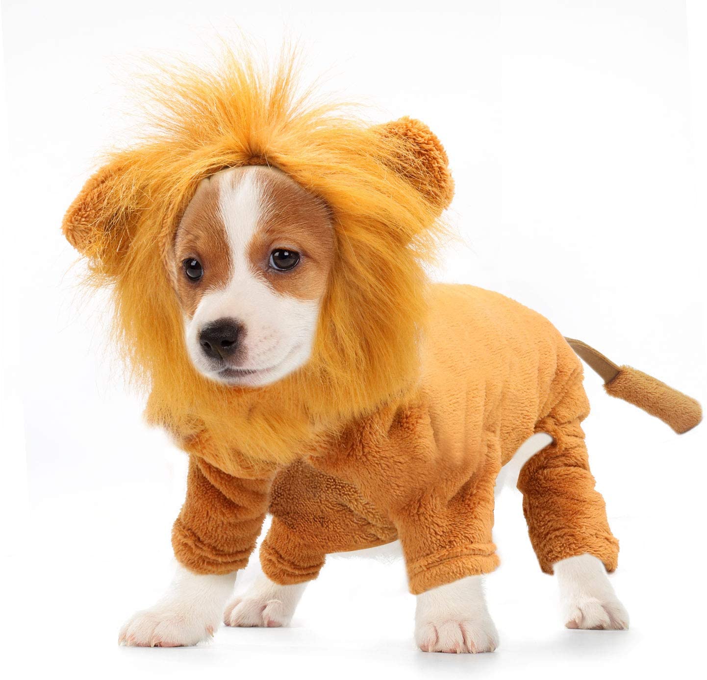 Chien Lion Costume avec Lion crinière casquette fantaisie dessin animé noël Halloween Costumes sweat à capuche pour animal de compagnie combinaison pour jeu de rôle: XS