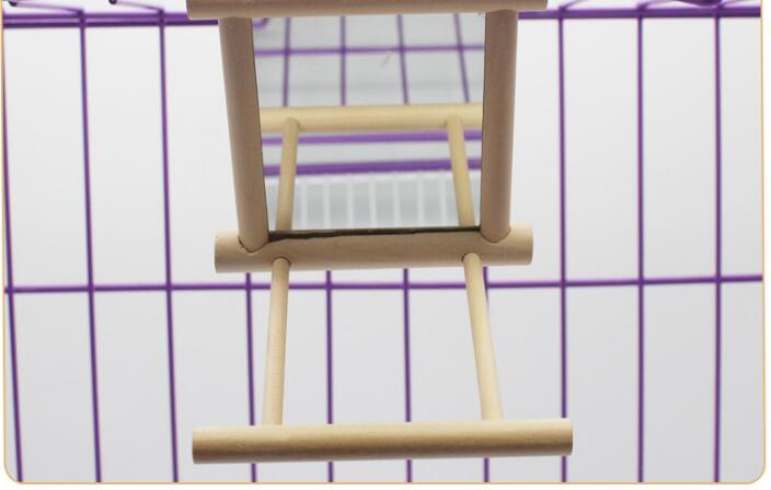 homing racing pigeon birds pet Dual-purpose feeder fodder Pigeon plastic suspended feeder for eating and drinking bird products