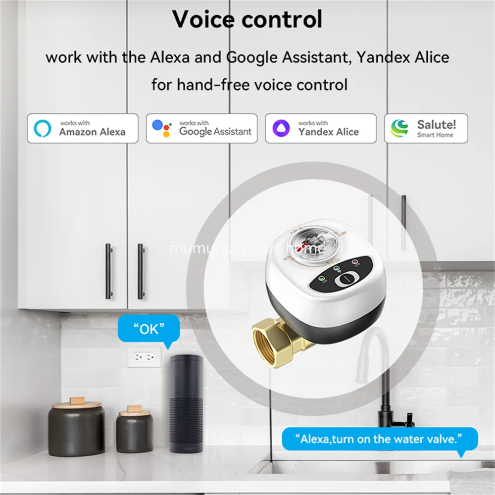 Inteligentny kontroler zaworu Zigbee eWelink DN15/DN20/DN25 zawór kulowy pilot aplikacji sterowanie IP65 wodoodporny zawór wodny współpracuje z Alexa