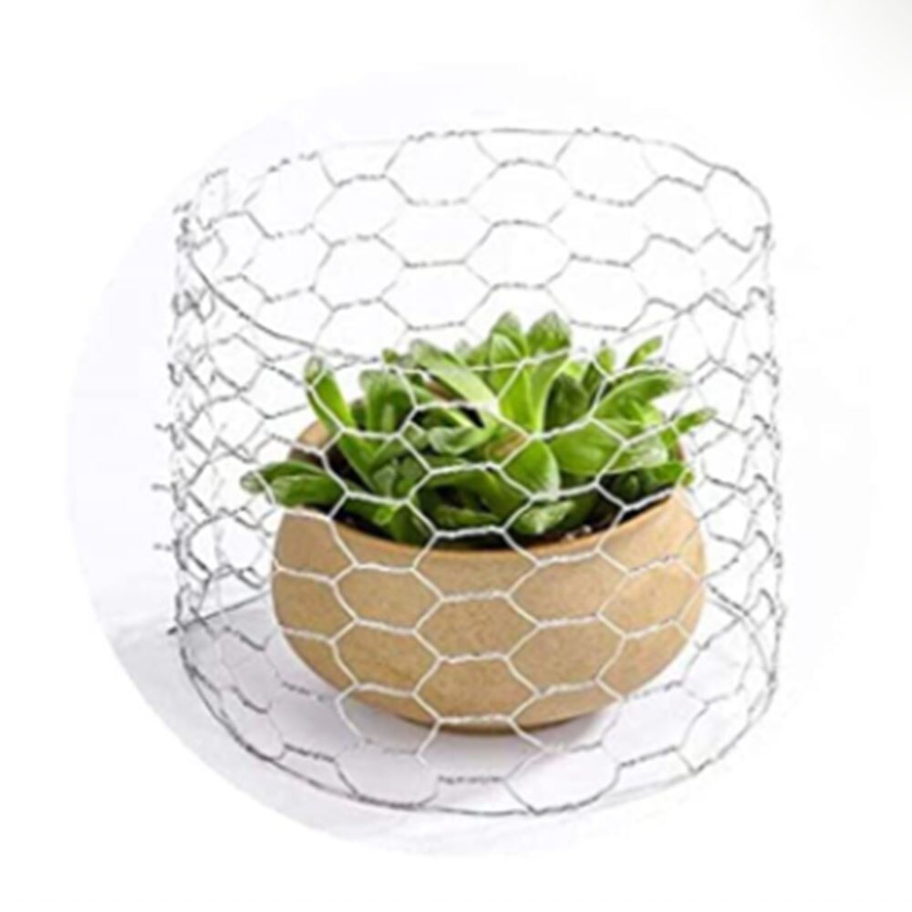Chicken Wire Net Rabbit Animal Fence Netting Galvanized Hexagonal Wire Mesh Fence Wire Netting for Home Garden