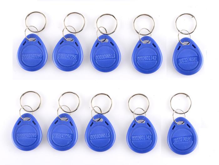 SZBestWell RFID Card Door Entry Single Door Lock Waterproof Metal Case Access Control Keypad System With 10 KeyCard: rfid card