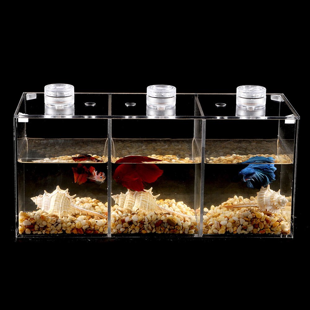 Mini tanque de peces de acrílico, Ornamental, Betta, acuario, paisajismo, ecológico, tanques de tortugas, decoraciones de escritorio para el hogar y la Oficina