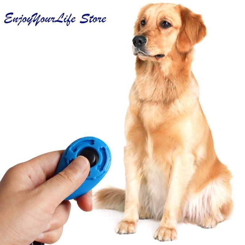 Hundetræning fløjte kæledyrstræning clicker + snorebånd sæt hundetræning produkter leverer 4 farver