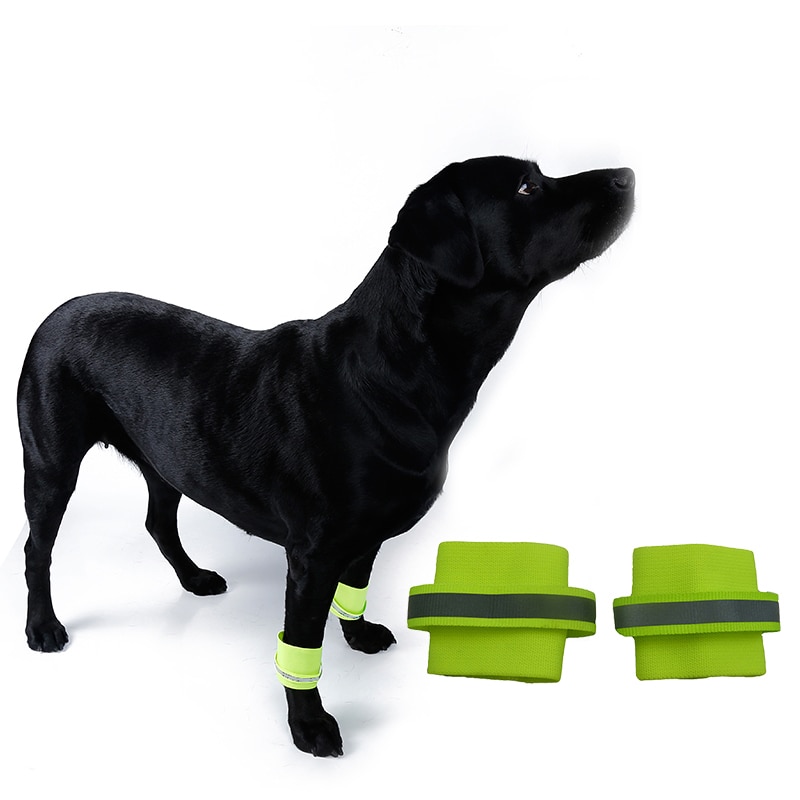 2pc handledsband andas hund husdjur handledsskydd glödande säkerhet husdjursprodukter reflekterande handledsband för hund husdjur säkerhet benomslag