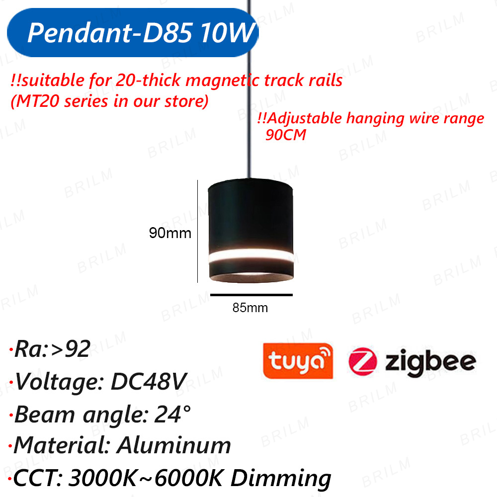 Zigbee3.0 luz de pista magnética inteligente tuya alexa dc48v led ponto grade de inundação lâmpadas pingente moderna casa sala estar preto: ROXO ESCURO