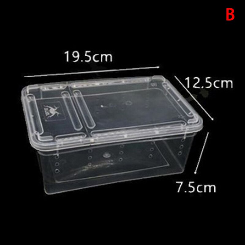 Reptile Tank Insect Spiders Tortoise Lizard Acrylic Transparent Breeding Box Vivarium Lid Reptile Pet Product Terrarium: B
