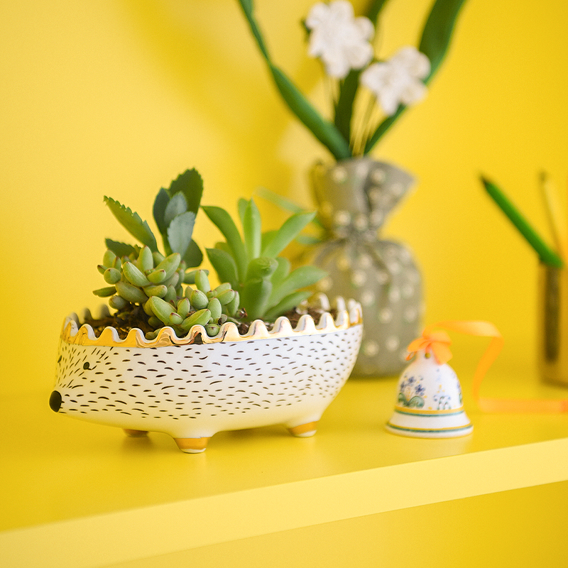 Almacenamiento de taza de medida pequeño soporte de planta soporte fresco erizo cerámica joyería contenedor hogar Oficina jardín Mesa Decoración