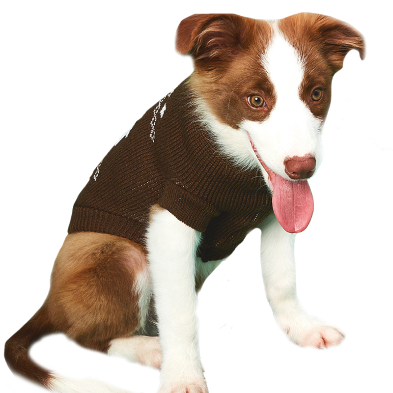 Pull d'hiver en tricot pour chat et chien, vêtement pour noël, petit et moyen gabarit, Yorkshire, Chihuahua