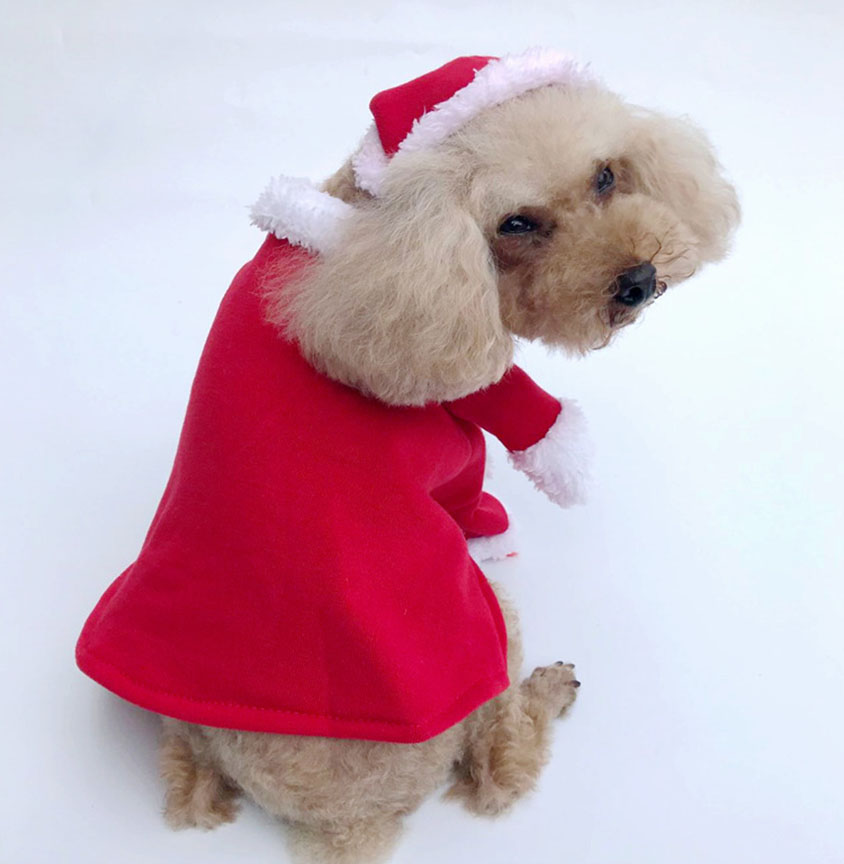 Haustier Hund Weihnachten Kleidung Santa Claus Hund Kostüm Winter Welpen Haustier Katze Mantel Jacke Hund Anzug mit Kappe Warme Kleidung für Hunde Katzen