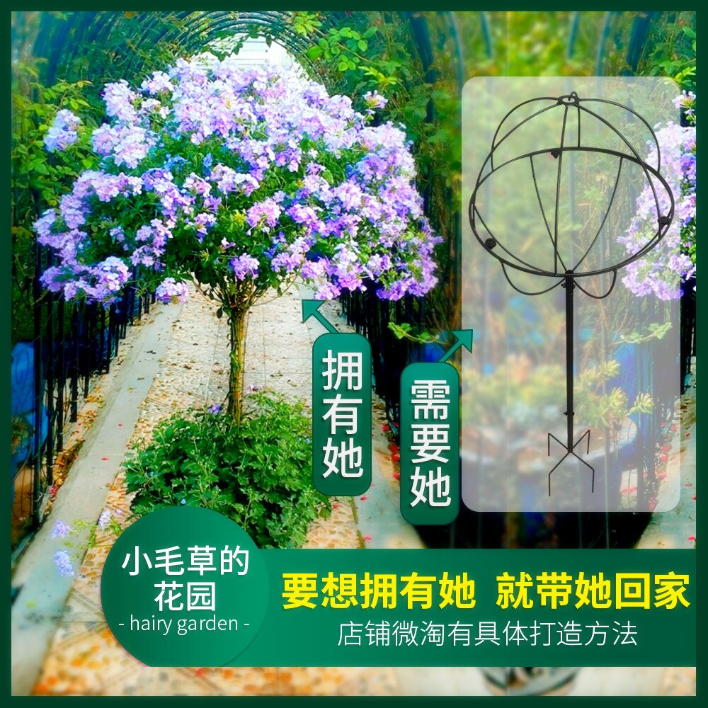 Molino de viento de copo de nieve azul, soporte de Piruleta de jazmín, Clematis, soporte de flores de jardín esférico de hierro, soporte de escalada