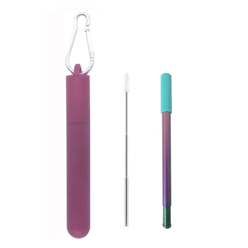 Paille à deux sections réutilisable, avec trou de filtre et brosse à paille rétractable pour le thé, etc.: Rose Red